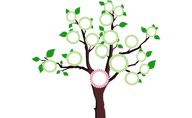 arbre genealogique 103049
